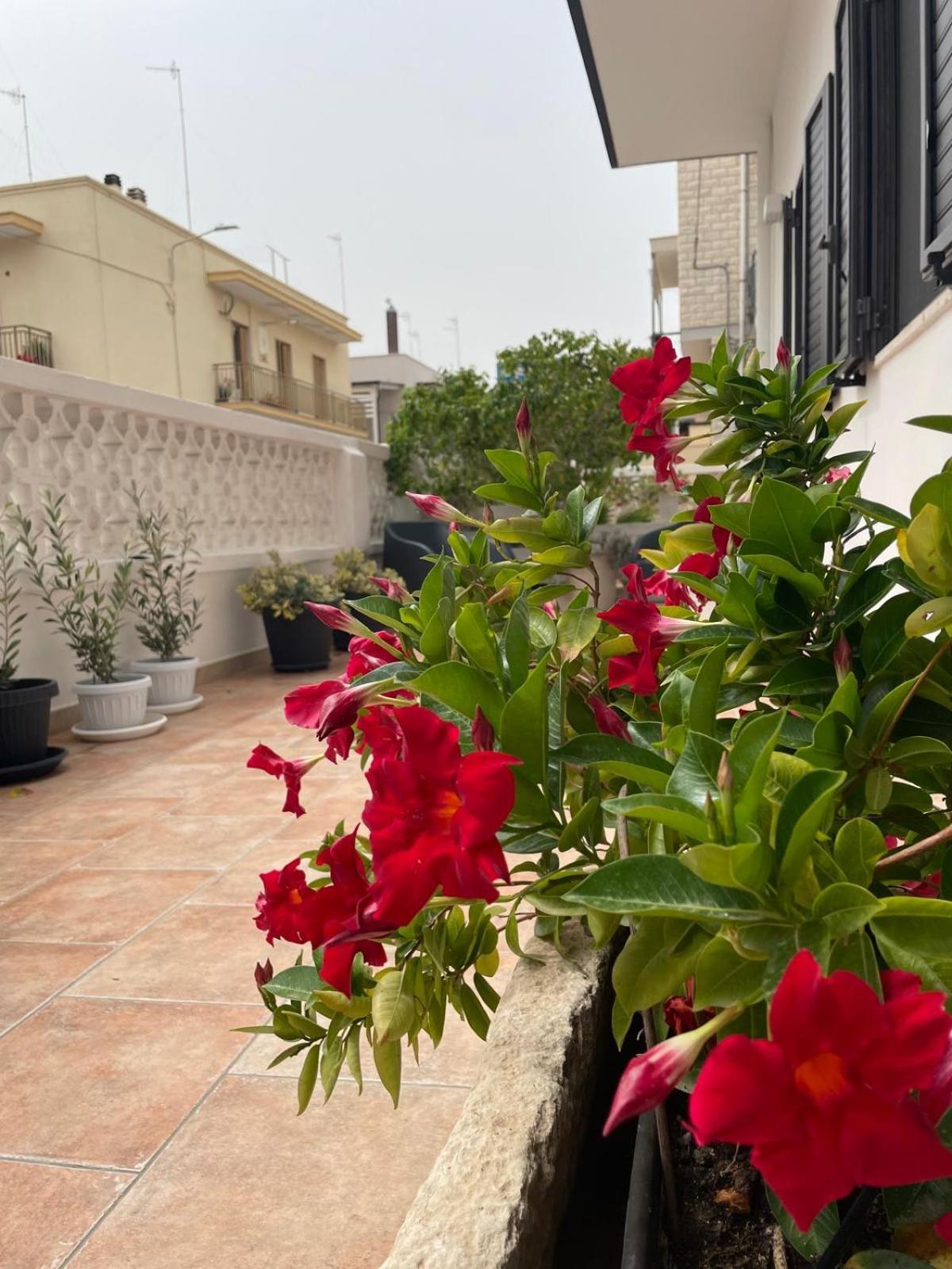 Rosa Dei Venti Βίλα Polignano a Mare Εξωτερικό φωτογραφία